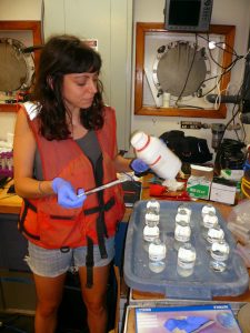 Alex Harper examines seawater samples to determine the distribution, cycling, and impacts of hydrocarbons. (Photo credit: Natalie Geyers)