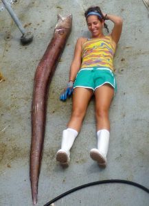 Susan demonstrates the size of the largest king snake eel caught (2.3 meters) during the study. (Photo credit: Steve Murawski)