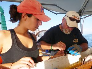 Susan and Dr. Steve Murawski collect bile samples from a king snake eel gallbladder. (Photo credit: Liz Herdter)