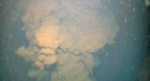 Shown here is a mixture of oil and gas coming out of the Deepwater Horizon Macondo wellhead. (Image provided by D. Lindo-Atichati)