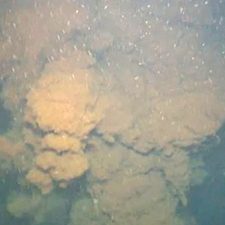 C-IMAGE_plume-featured Shown here is a mixture of oil and gas coming out of the Deepwater Horizon Macondo wellhead. (Image provided by D. Lindo-Atichati)