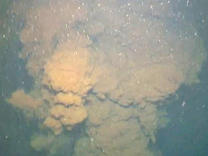 C-IMAGE_plume-featured Shown here is a mixture of oil and gas coming out of the Deepwater Horizon Macondo wellhead. (Image provided by D. Lindo-Atichati)