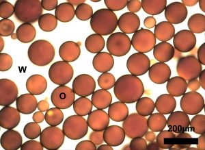 A brightfield optical micrograph shows an emulsion of crude oil (O) in seawater (W) stabilized by carbon black particles. (Provided by Saha)