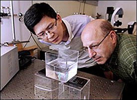 Princeton University researchers observe the bubbles in a tank.
