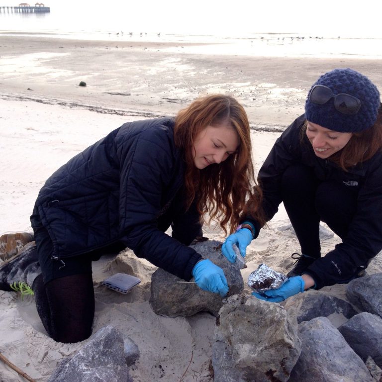 RFP-II_White_CollectingOiledSamples Shelby Lyons (left, undergraduate student) and Rachel Simister (right, postdoc at Haverford) in the field collecting oiled samples. (Photo credit: H. White)