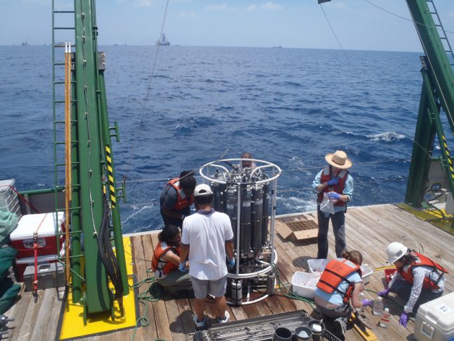 ECOGIG_Crespo-Medina_CTD-sampling Students and post-doctoral researchers from the University of Georgia, the University of North Carolina, the University of California and the University of Southern Mississippi collect water samples from the niskin bottles on the CTD rosette for methane and other geochemical analyses. Lead author Melitza Crespo-Medina is on the far bottom left. (Photo by Samantha Joye)