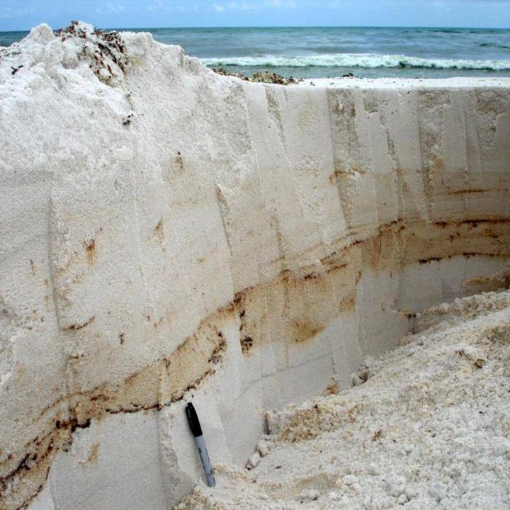 Deep-C_Ruddy_HuettelOilSandTrench Layers of weathered oil are seen in the cross section of this sediment sampling trench that researchers dug on Pensacola Beach shortly after the Deepwater Horizon oil spill. (Photo credit: Markus Huettel, Florida State University)