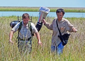 Xuan (right) and Ben Adams, AKA “Max,” (left) collect insects in Louisiana marshes using a vacuum. (Photo provided by Xuan Chen)