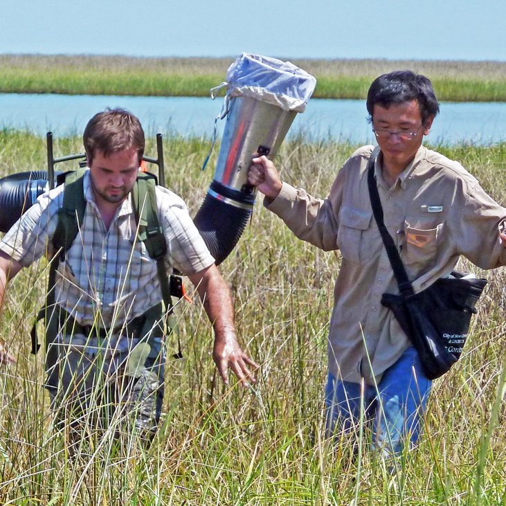 Xuan (right) and Ben Adams, AKA “Max,” (left) collect insects in Louisiana marshes using a vacuum. (Photo provided by Xuan Chen)