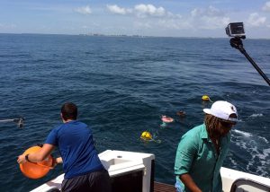 CARTHE graduate student David Ortiz-Suslow deploying drifters just off the coast of Miami Beach. (Provided by: CARTHE)