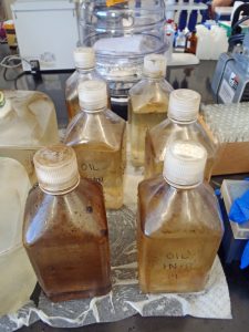 Samples collected for examining impact of spill on microbes in Galveston Bay in 2014. (Photo provided by Antonietta Quigg)