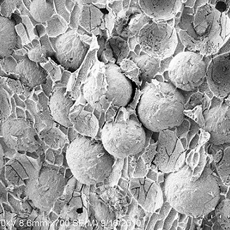 dispersant Image of dispersed oil droplets captured by Cryo-Scanning Electron Microscopy. (Image credit: Vijay John)