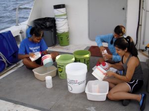 Summer interns (left to right) Adriona Horton (American Fisheries Society Hutton Intern), Sandra Huynh (NOAA Northern Gulf Institute Intern), and Natasha Chawla (American Fisheries Society Hutton Intern) process plankton samples collected off the coast of Alabama during a cruise in July 2013. (Credit: USM Fisheries Oceanography and Ecology Lab)