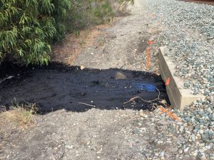 The spilled crude oil flowed through an open drainage pipe, tunneling under Highway 101 onto the beach. (Photo by Anna James, University of California Santa Barbara)