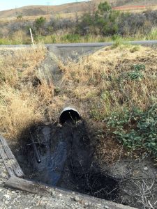 Another view of crude oil flowing through an open drainage pipe and making its way to the beach. (Photo by Anna James, University of California Santa Barbara)