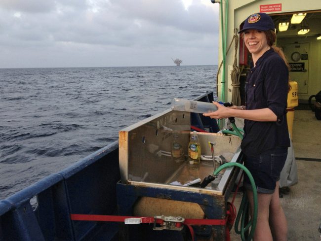 SimisterStudy_sediment Rachel Simister (lead author of the study) prepares sediment cores on a research cruise in the Gulf of Mexico. (Photo credit: H. White)