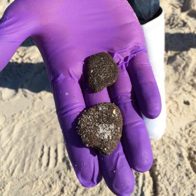 Aeppli_SandPattiesIMG_0127-FEATURED Oil soaked sand patties collected in Gulfshores, Alabama. (Photo credit: J. Suflita)