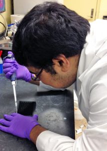 Subham conducts an ethoxyresorufin-O-deethylase or EROD assay to measure the activity of the detoxifying enzyme CYP1A1 under PAH exposure. (Provided by Subham Dasgupta)