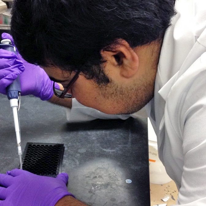 Subham conducts an ethoxyresorufin-O-deethylase or EROD assay to measure the activity of the detoxifying enzyme CYP1A1 under PAH exposure. (Provided by Subham Dasgupta)