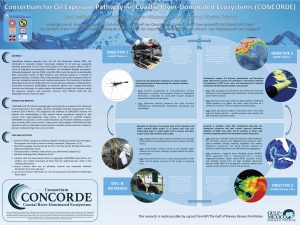 CONCORDE presented this poster at the 2015 Gulf of Mexico Oil Spill and Ecosystem Science conference. It outlines the four main objectives of their project: plankton, observation, modeling, and education and outreach. (Poster created by Ryan Vandermeulen)