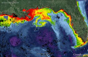 The Gulf of Mexico as seen in this July 11, 2015 satellite-derived Chlorophyll-a image showing a plume originating from the Mississippi River. Taken during the AUV Jubilee event. (Image provided by Ryan Vandermeulen)