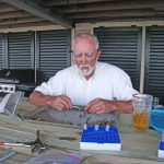 Gene Turner dissects marsh periwinkles for isotope analyses. (Photo provided by CWC)