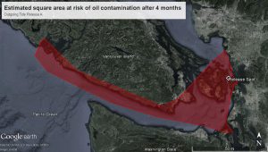 This Google Earth maps shows the estimated area at risk of oil contamination four months after the simulated spill. (Provided by Alek)