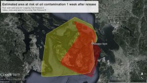 This Google Earth map shows the differences in estimated contamination areas one week after oil is released under an outgoing tide (red) and an incoming tide (yellow). (Provided by Alek)