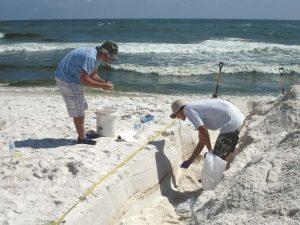 Jonathan Delgardio and Will A. Overholt (Georgia Institute of Technology) collect samples from a Pensacola Beach sand trench with oil layers. (Photo by Markus Huettel)