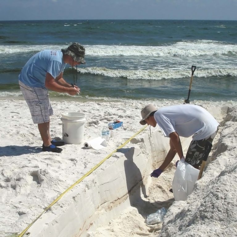Deep-C_Rodriguez_SandFieldWork Jonathan Delgardio and Will A. Overholt (Georgia Institute of Technology) collect samples from a Pensacola Beach sand trench with oil layers. (Photo by Markus Huettel)