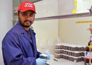 Nihar conducts a 14C-radiolabeled naphthalene assay in a radioactive laboratory to determine naphthalene degradation rate using sediments after each greenhouse microcosm experiment. (Photo credit: Suchandra Hazra)