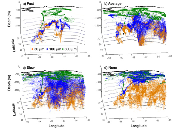 Northetal_100933_Fig2-featured These simulations are from Figure 2 in the study. They depict the distribution of simulated oil droplets on July 3, 2010 for fast, average, close, and no degradation rates. Colors indicate initial droplet diameter in micrometers: orange 30, blue 100, green 300. The black dot is the location of the wellhead. (Image provided by Elizabeth North)