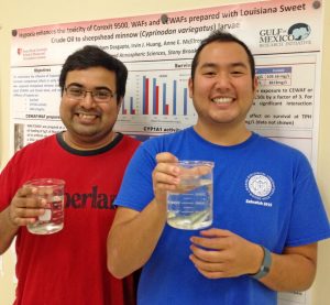 Subham Dasgupta (left) and Irvin Huang (right) gave a poster presentation about their research at the 2015 Gulf of Mexico Oil Spill & Ecosystem Science conference. Here, they are holding beakers with early life stage fish similar to those used in their study. (Photo provided by Anne E. McElroy)