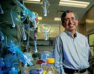 Tulane University professor Vijay John was among 22 researchers awarded money by the Gulf of Mexico Research Initiative program to study the effects of oil on the Gulf of Mexico. (Photo courtesy of Paula Burch-Celentano/Tulane University 2013)