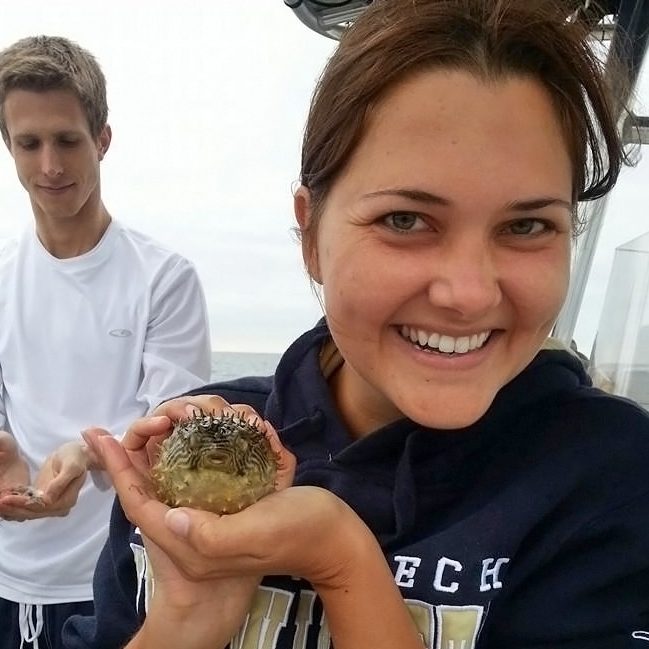 CIMAGE_ChancellorBurrFish-FEATURED Emily holds a burr fish from a class research trip in Tampa Bay as part of her USF Fish Biology course. (Photo provided by Emily Chancellor)