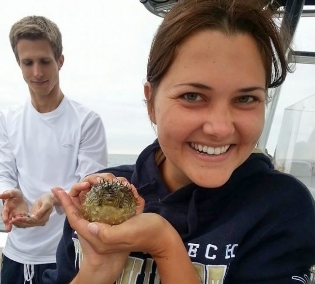 Emily holds a burr fish from a class research trip in Tampa Bay as part of her USF Fish Biology course. (Photo provided by Emily Chancellor)