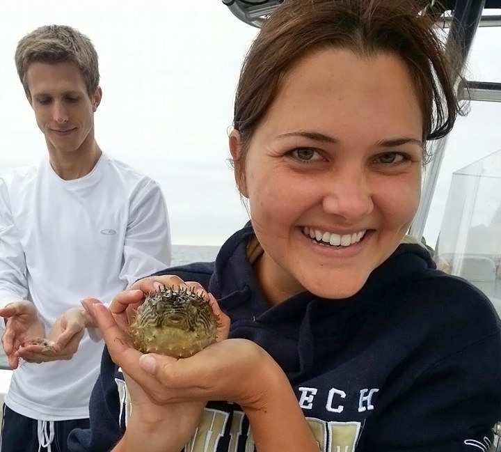 CIMAGE_ChancellorBurrFish-FEATURED Emily holds a burr fish from a class research trip in Tampa Bay as part of her USF Fish Biology course. (Photo provided by Emily Chancellor)