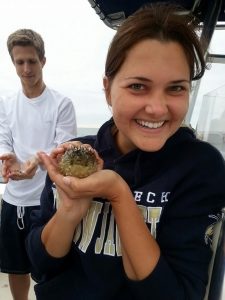 Emily holds a burr fish from a class research trip in Tampa Bay as part of her USF Fish Biology course. (Photo provided by Emily Chancellor)