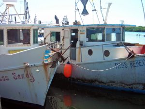 Fishing vessels used to capture reef fish rest at port. (Photo by Steve Saul)