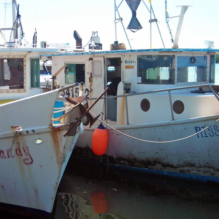 Saul_Boats_web Fishing vessels used to capture reef fish rest at port. (Photo by Steve Saul)