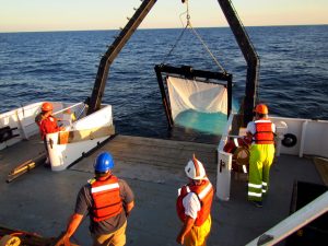 DEEPEND scientists conduct midwater trawling from the R/V Point Sur using an opening-closing MOCNESS trawl with a 10 m² mouth area. (Photo provided by DEEPEND)