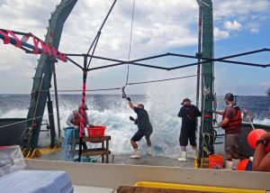 R/V Weatherbird II crew members cast longlines to catch prominent species of Gulf fish for sampling. (Provided by C-IMAGE)