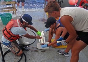Martín Ramírez, Shannon O’Leary, and Kristina Deak collect samples from a fish caught aboard R/V Weatherbird II. (Provided by C-IMAGE)