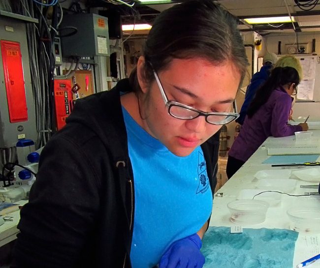 LauraTimm_LabWork-FEATURED Laura Timm keeps careful records of collected species, including the number of individuals and how they are preserved. (Photo credit: Dr. Dante Fenolio)