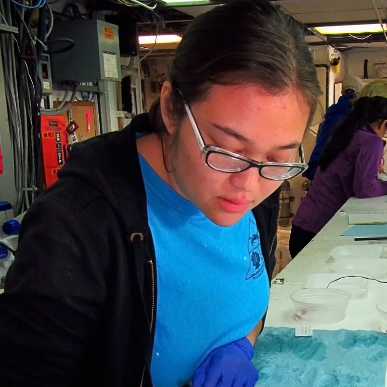 LauraTimm_LabWork-FEATURED Laura Timm keeps careful records of collected species, including the number of individuals and how they are preserved. (Photo credit: Dr. Dante Fenolio)