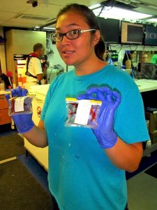 Laura holds samples of A. purpurea and S. robusta, two shrimp species she is studying, and prepares them for ddRAQseq analysis. (Photo credit: Dr. Dante Fenolio)