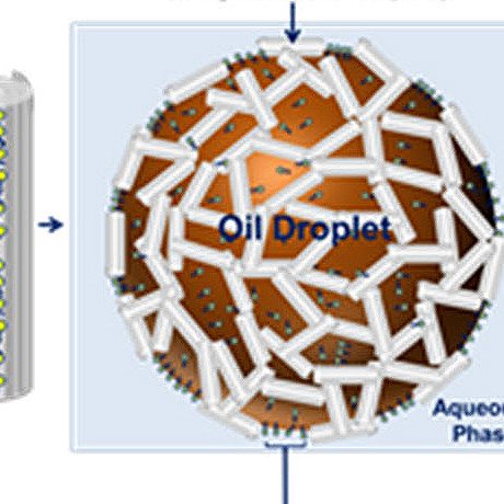 Nanotubes-featured2 This formation stabilizes the droplet and helps prevent coalescence. Microscopic imaging (on bottom) offers a more-detailed look at the nanotubes’ structure. (Images by Olasehinde Owoseni)