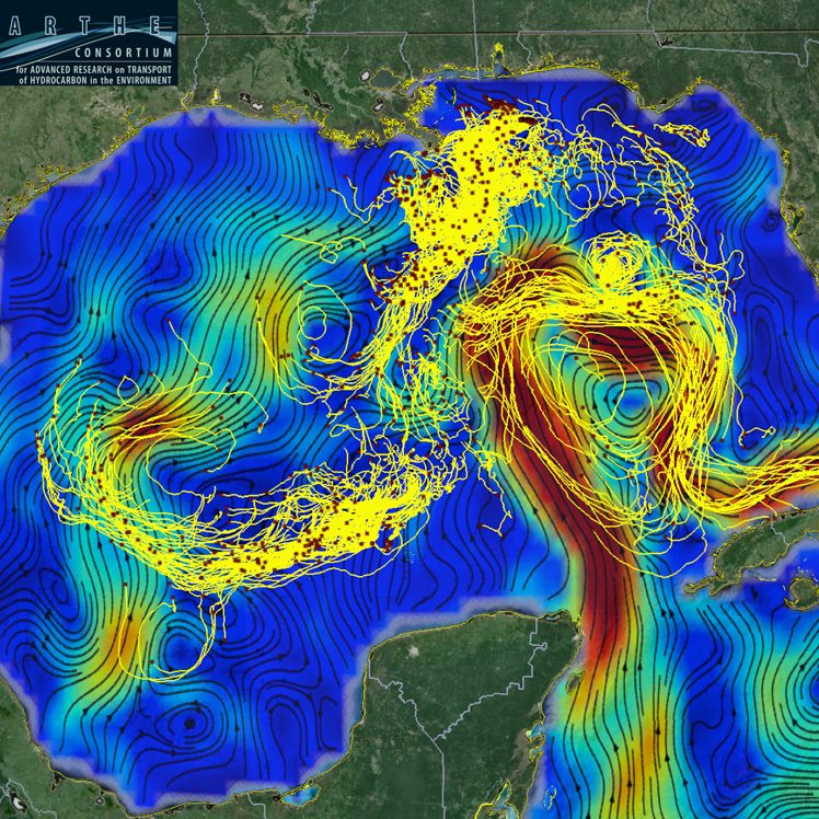 CARTHE drifter trajectories in the Gulf of Mexico superimposed on AVISO surface currents. Red squares mark drifters positions on 9 March 2016 and the tails are 14 days long. (Credit: Edward Ryan and Tamay Ozgokmen from the University of Miami)