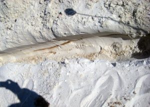 A trench in a Florida beach supratidal zone in 2011 exhibits a visible oil layer visible. (Provided by Michel Boufadel)