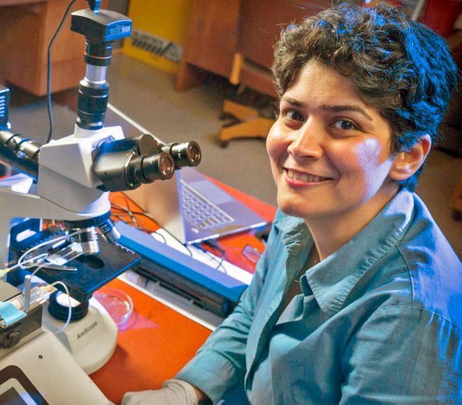 Ardekan-WEB Dr. Arezoo Motavalizadeh Ardekani, assistant professor in the School of Mechanical Engineering at Purdue University. (Photo credit: Purdue Office of Research and Partnerships)